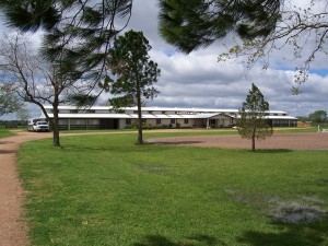 pasture and horse stables