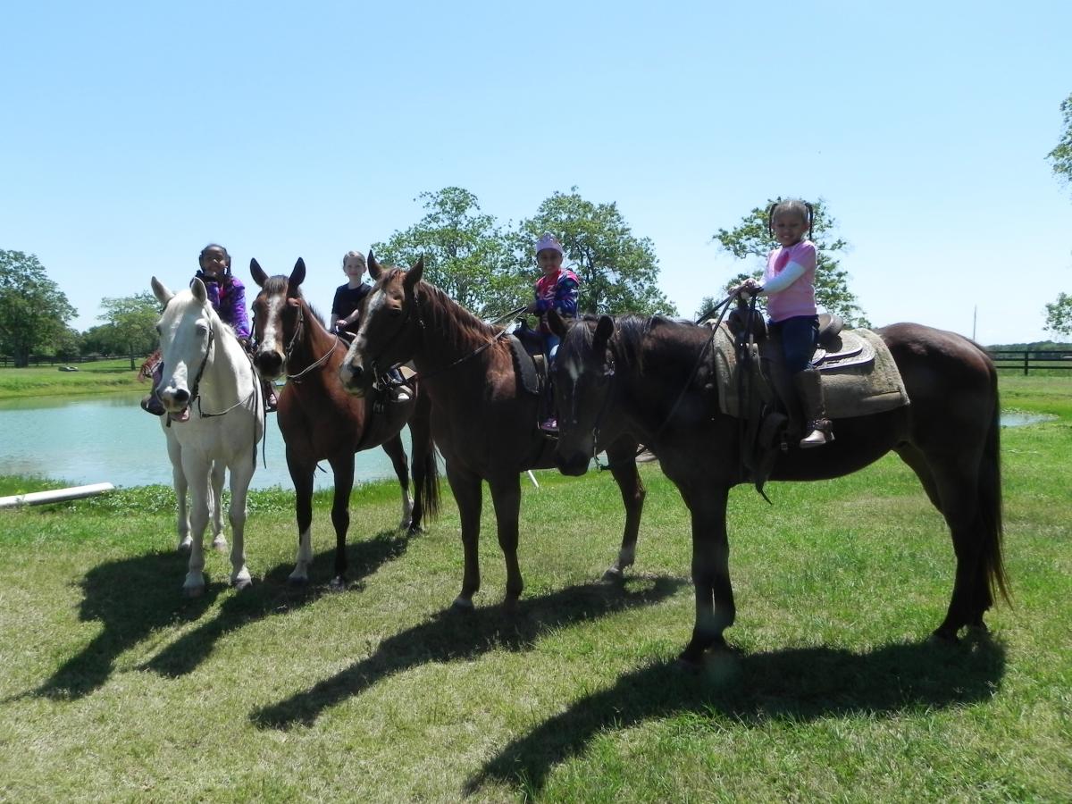 What Will You Learn in a Beginner Horseback Riding Lesson?