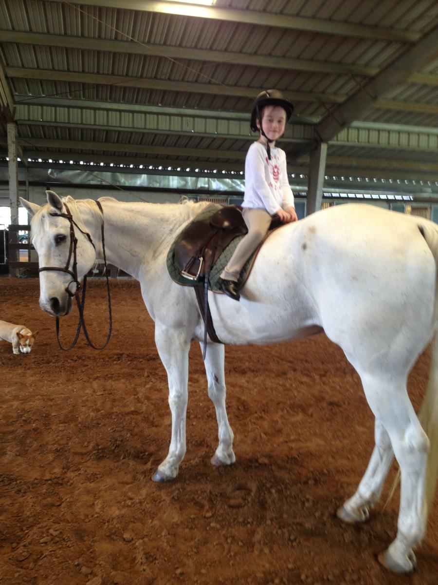 Horse Boarding Near Houston Needville, TX Cramer Quarter Horses