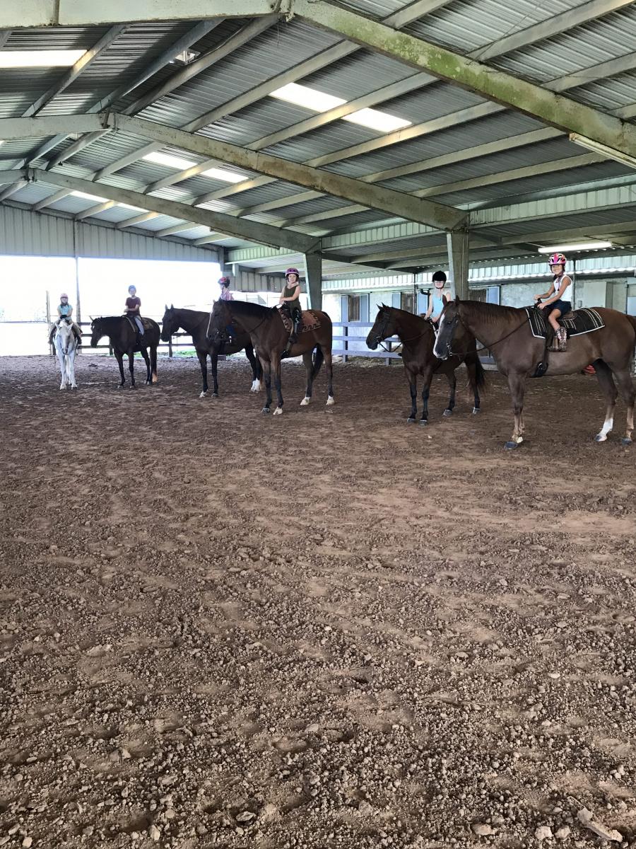 Horse Boarding Near Houston Needville, TX Cramer Quarter Horses