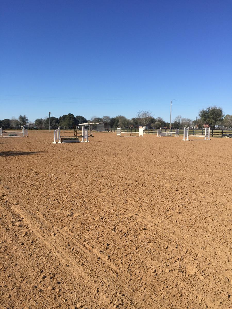 Horse Boarding Near Houston Needville, TX Cramer Quarter Horses